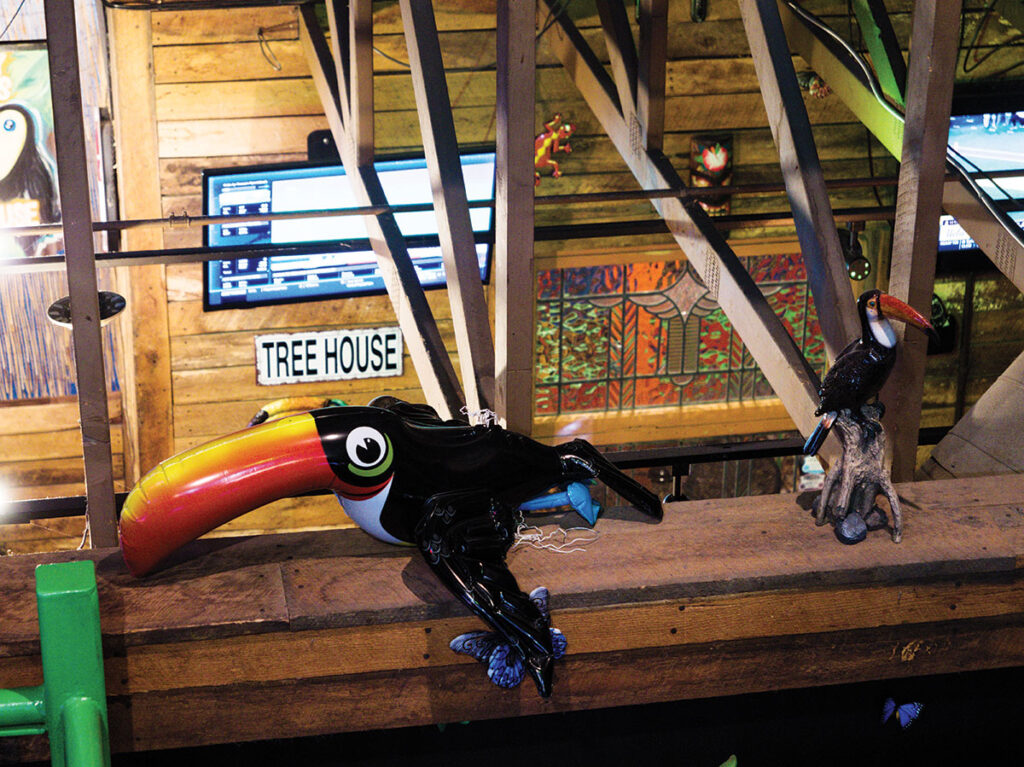 The treehouse has its own story about "Tuffy Toucan" who is named after Craig Martinosky Sr's grandson who passed away. Photo by Logan Parkerson. 