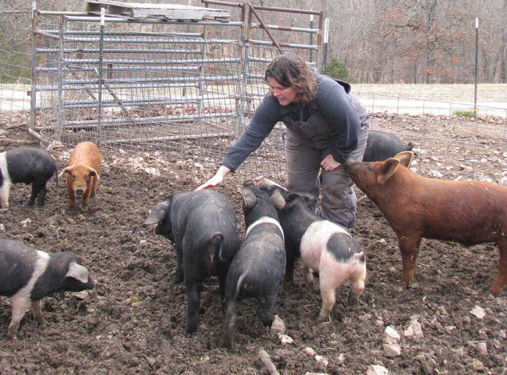 The Alexanders started with pigs because of limited space and infrastructure. Photo by Brenda Brinkley. 