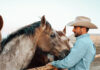 The Once Reluctant Rancher