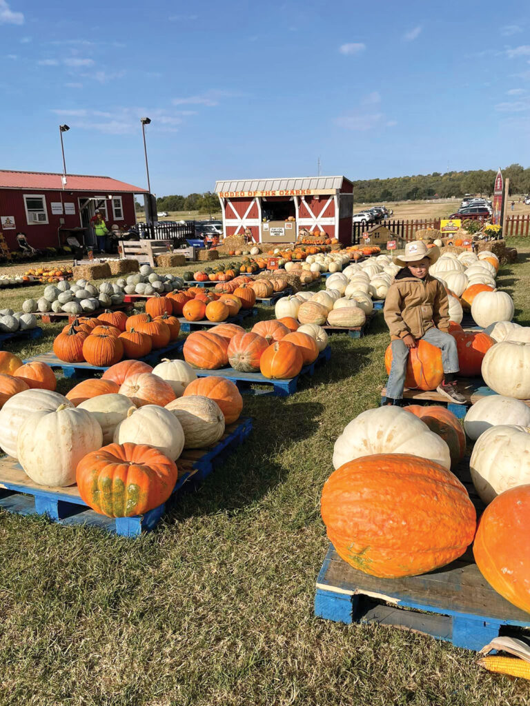 The Parsons are involved in agritourism with Farmland Adventures. They operate a 9-acre corn maze and host farm tours in the fall. Around 30,000 people visit their farm each year. Submitted Photo. 