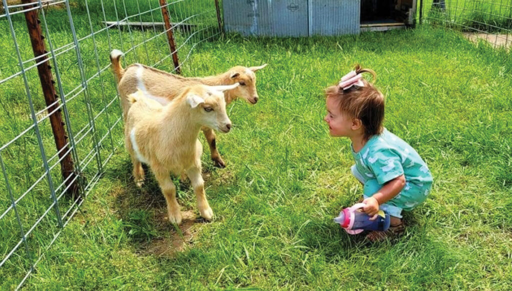 Brynlee-Anne with two goats at HeimerTime Farms. Submitted Photo. 