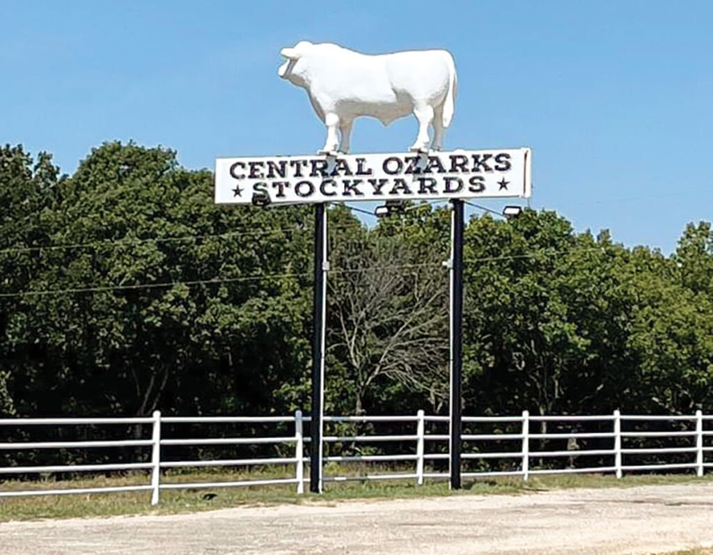 Central Ozarks Stockyards in Squires, Missouri. Submitted Photo. 