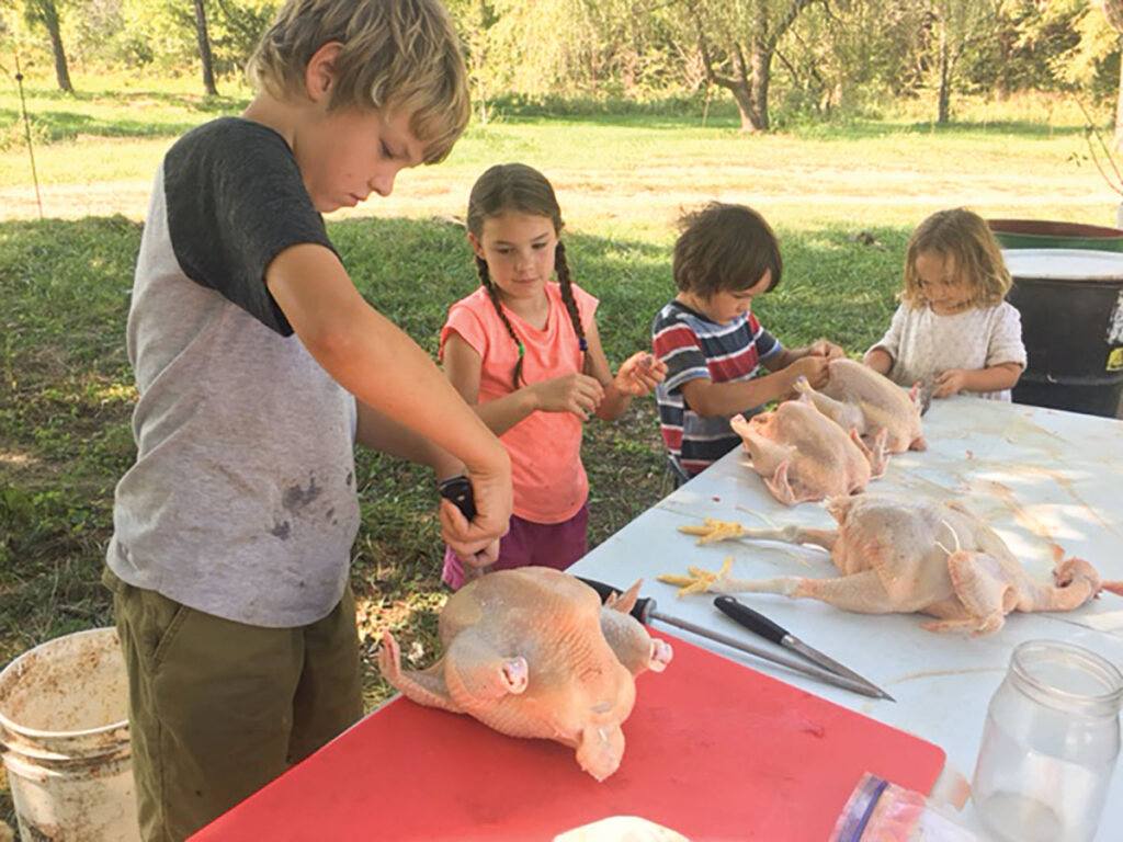 The Stevens children helping to process chickens. Submitted Photo. 