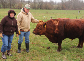 An Honest Approach to Agriculture