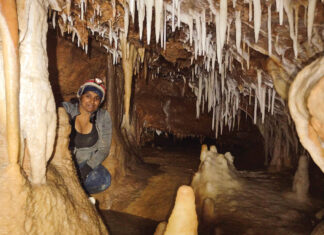 Splendor Underground