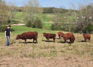 Happy Days at Happy Critters Farm