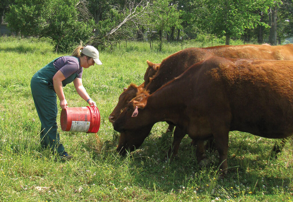 Emily Johnson is a large animal veterinarian and a cattle producer. The Webster County, Mo., native has been practicing for 10 years. Photo by Brenda Brinkley. 