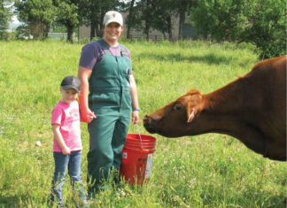 The Best of Both Worlds