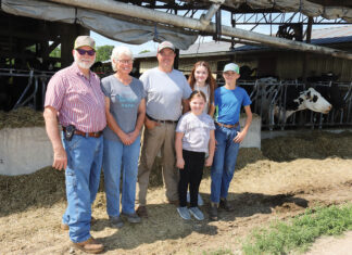 Happy Cows at Hill Dairy