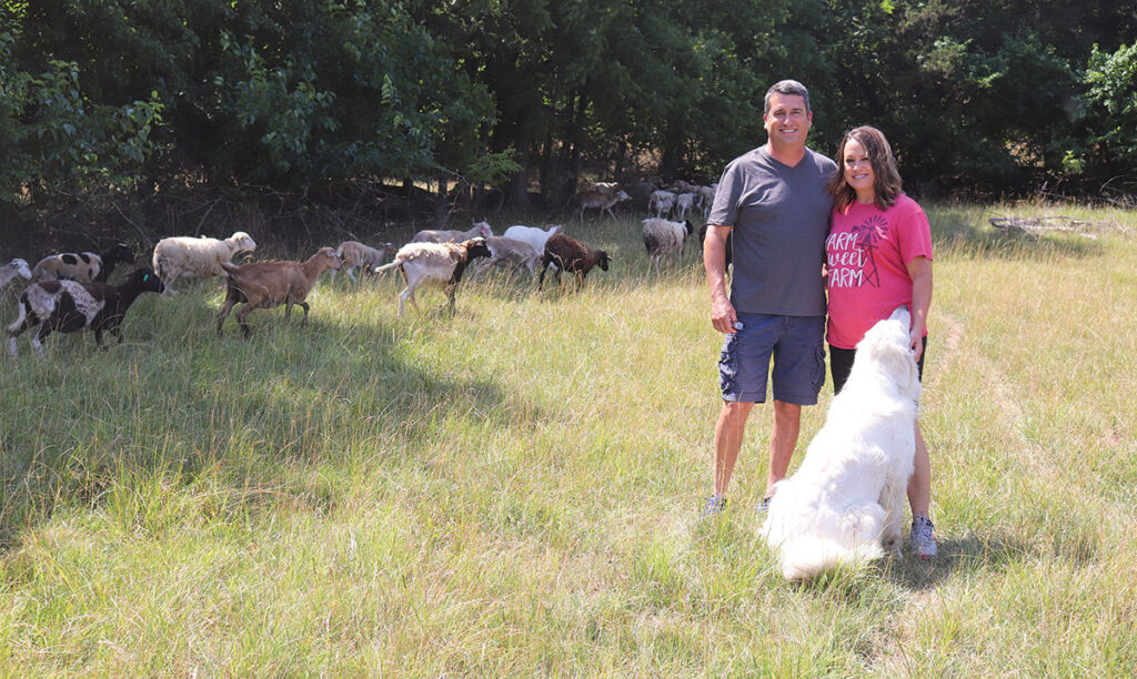 Jason and Janet Wells sold their cattle and began raising haired sheep. Photo by Julie Turner-Crawford. 