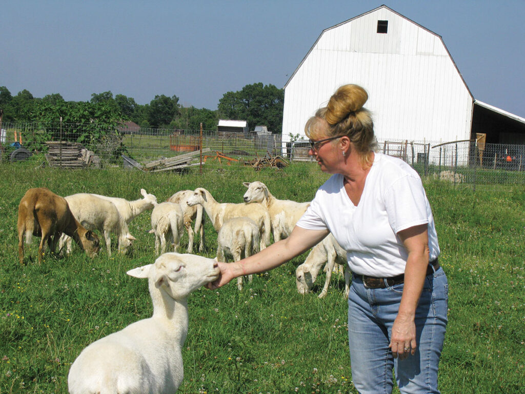 The Lambert family moved to the Ozarks from Delaware and now have a growing sheep and goat operation. Photo by Brenda Brinkley. 