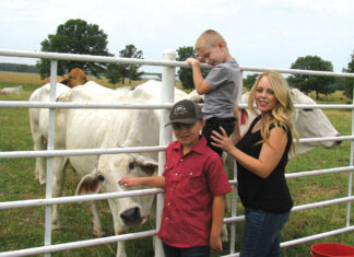 Keeping it Interesting