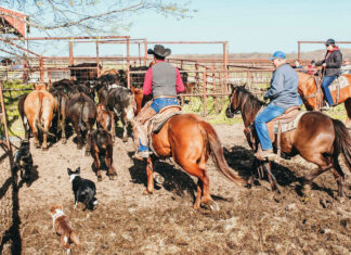 The Best Way of Life