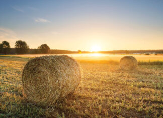 Protect Your 2024 Hay and Pastures