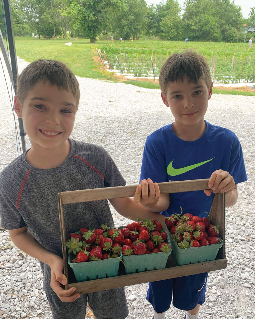 The Appels and their boys Griffin (12), Owen (9) and Evan (7) grow a variety of produce and pasture-raised pork they sell from their farm stand. Contributed Photo.