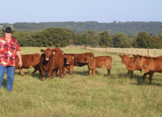 Balance is Everything