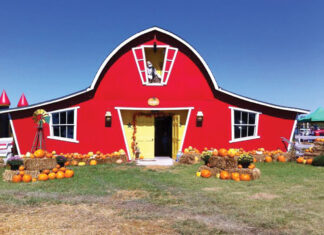 Annabelle’s Fun Farm