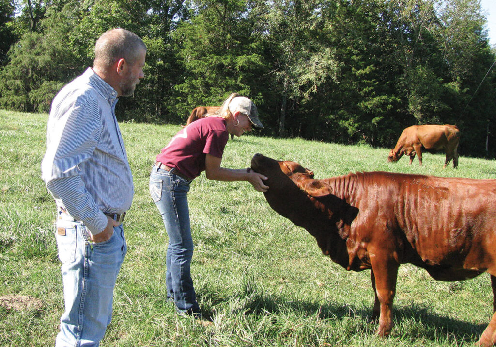 Transplants from Maryland, Bruce and Courtney Bassler are thriving on Shooting Star Beefmasters Farm a 72-acre farm near Niangua, Mo., in Webster County. Photo by Brenda Brinkley. 