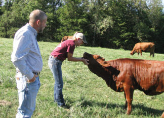 A Little Variety with One Breed