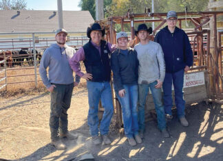 Meeting the Challenge