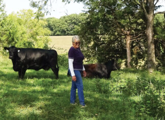 Genetics are Everything