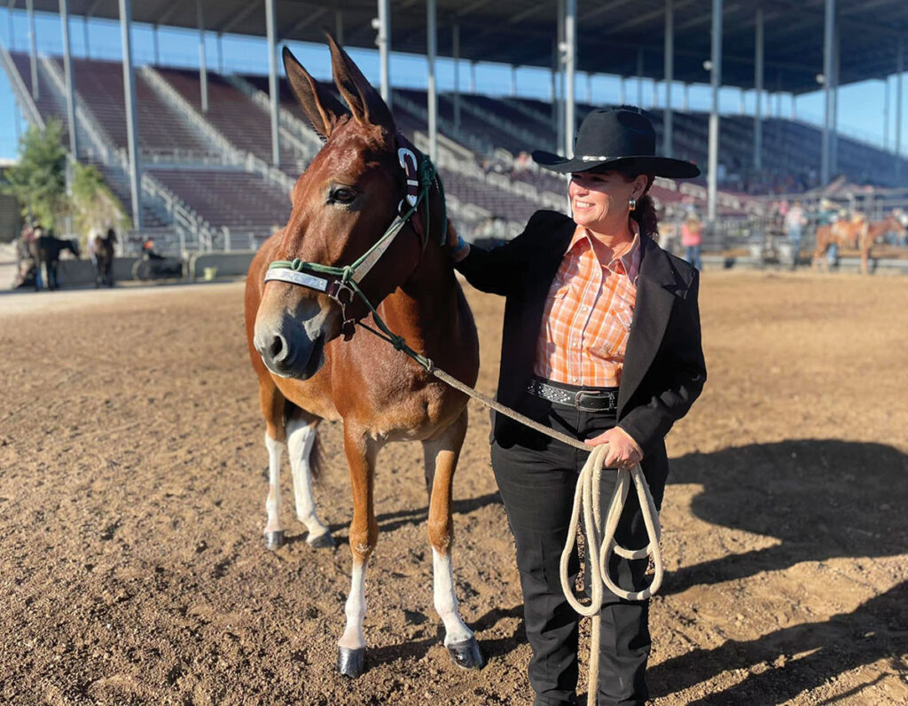 The Missouri Mule Makeover and Ozark Mule Days is an equine extravaganza that generally occurs on Labor Day weekend at the Ozark Empire Fairgrounds in Springfield, Mo. It’s three shows rolled into one. Contributed Photo. 