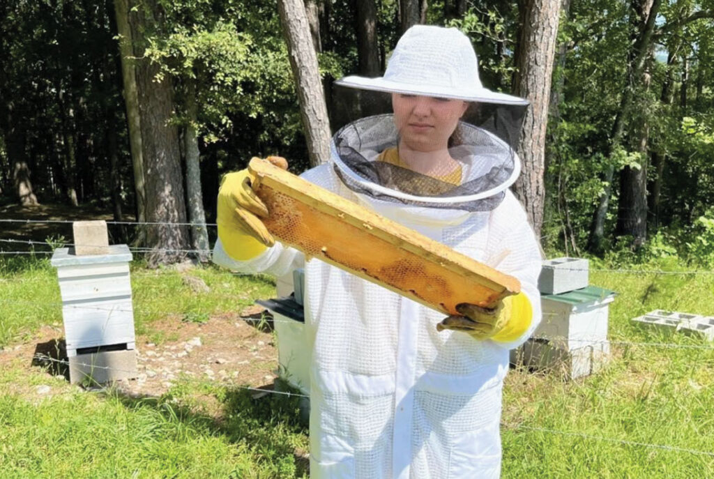 Arkansas teen found bees when looking for a project to strengthen her SAE. Contributed Photo. 