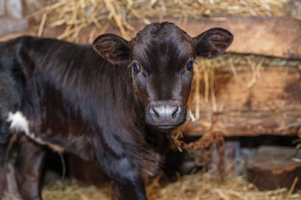 envato.com, by OlhaRomaniuk