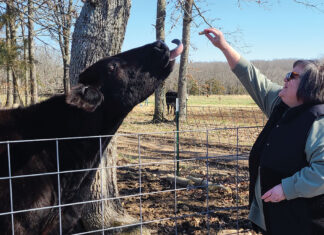 Karen Simpson-Neasby