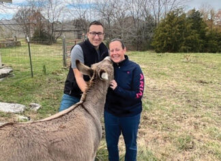 Bringing the Farm to ‘Bethlehem’