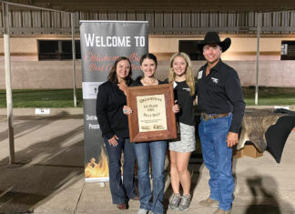 More Beef to the Plate