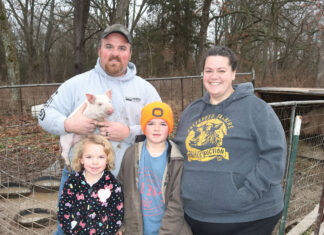 Building a Farm and a Market