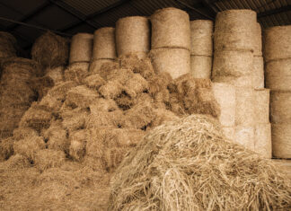 Hay Storage