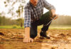 Reducing Dependance on Chemical Fertilizers