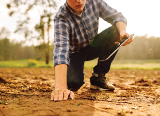 Reducing Dependance on Chemical Fertilizers