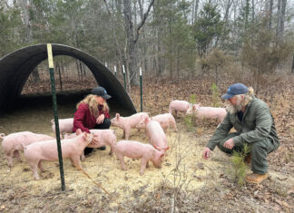 Small Ranch, Big Impact