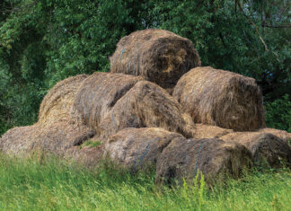Recycling Old, Spoiled Hay