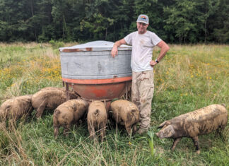 Happy Pigs Equal Happy Pork