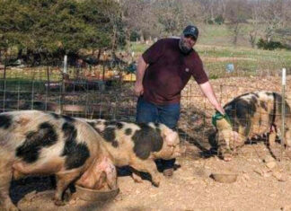 Faith, Family, Farm and Spots