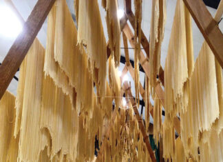 Rooted in the Community