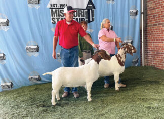 Quality Over Quantity