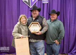 Passionate about the Industry