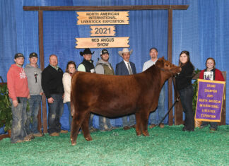 Finding a Winning Strategy