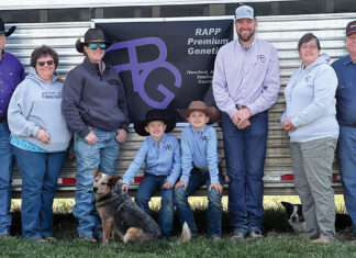 Rapp Premium Genetics