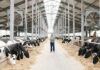 The importance of biosecurity to avoid cross-species contamination