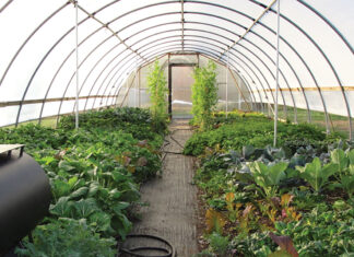 A Horticulture Paradise