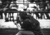 Livestock Photography