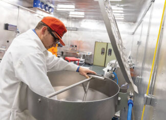 Daylight Til Dark Processing