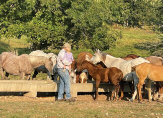 Hampton Ranch Smokes Up a Family Legacy