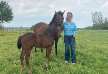 Work Hard and Take Chances